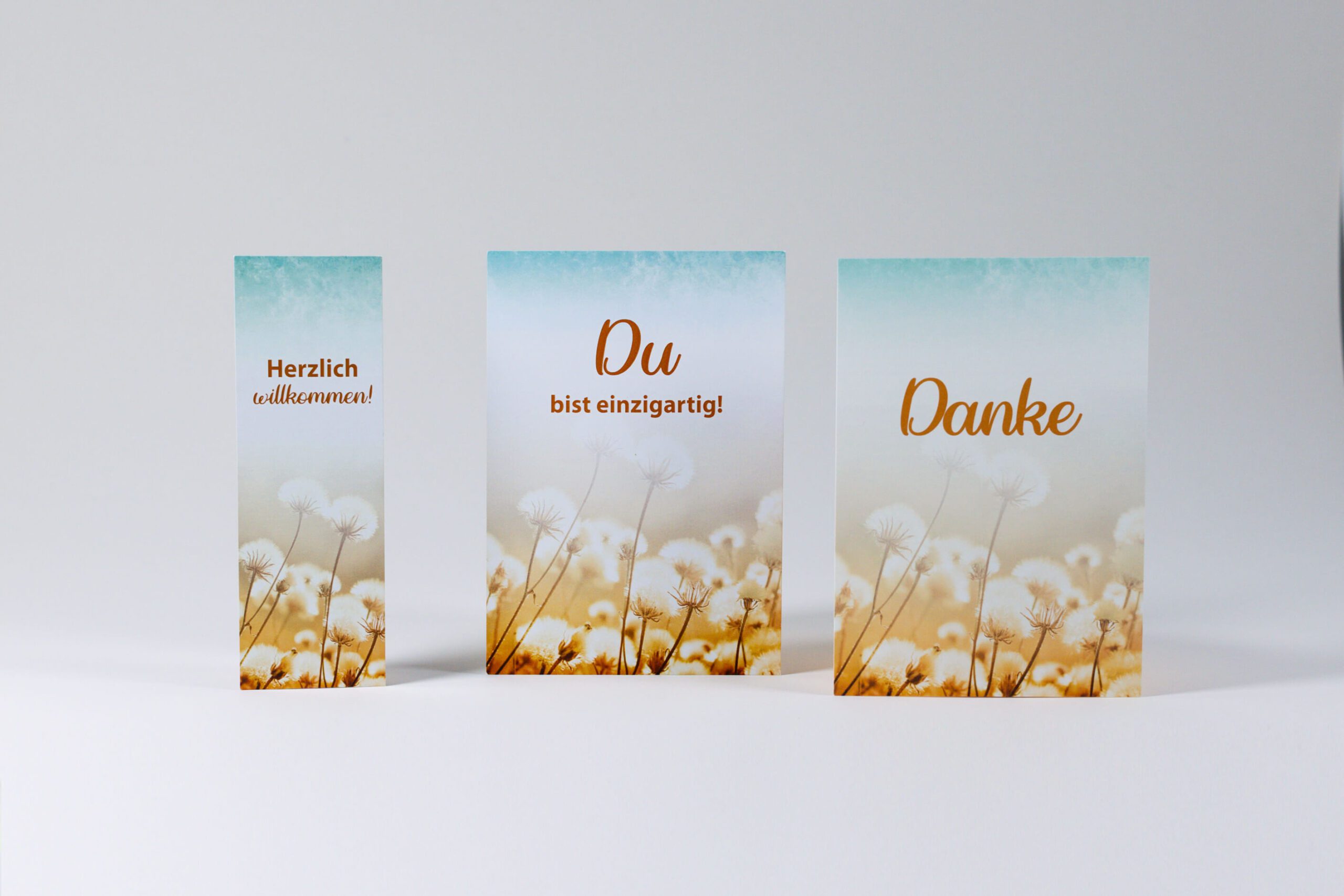 Grafik: Corporate Design für das Kompetenzzentrum für die Seele